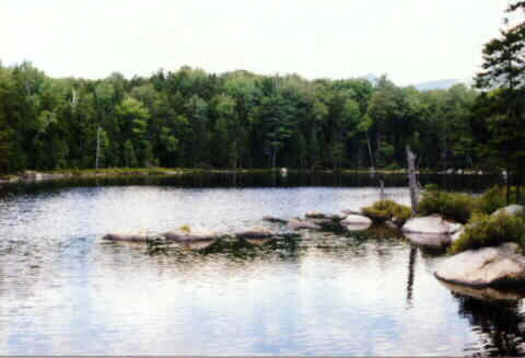 Black Pond