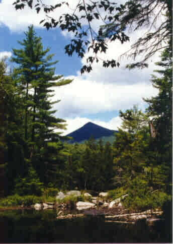 First View of Black Pond