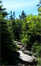 The trail got rocky, but the views got better