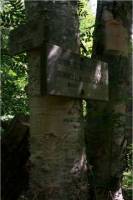 Junction of the Cabot and Bunnell Trails