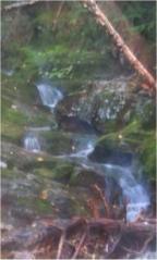 For those of you on hallucinogenic drugs . . .