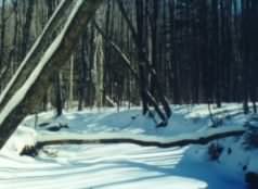 Some amateur photography