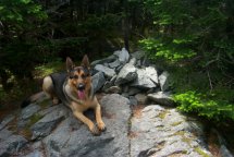 Kaia at Galehead Summit