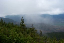 Another N. Kinsman View