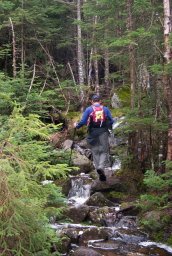 Flooded Kinsman Pond Trail