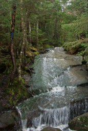 Flooded Kinsman Pond Trail