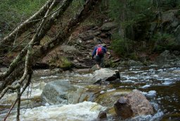 Cascade Brook Crossing