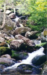 Hitchcock Falls - Click to Enlarge