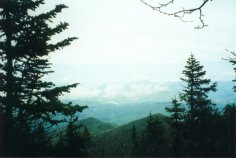 The Howks - Click to Enlarge