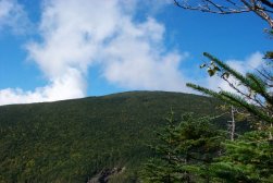 Moosilauke Summit