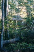 House Near the Trail - Click to Enlarge