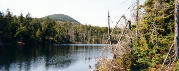 Nancy Pond - Click to Enlarge