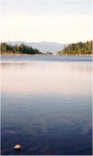 Norcross Pond - Click to Enlarge