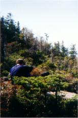 More Views from Norcorss