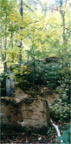 Springhouse?  Click to Enlarge