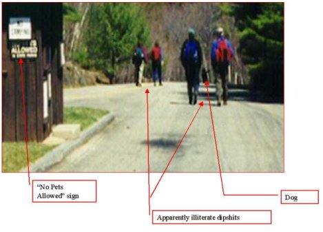 Illiteracy is a terrible thing ... aw' hell, they're probably just stupid arrogant pricks.