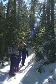 Early on the Crawford Path