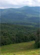 Views - click to enlarge