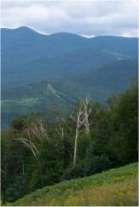 views - click to enlarge