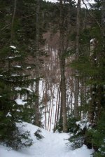 The drop into the Crawford gulley